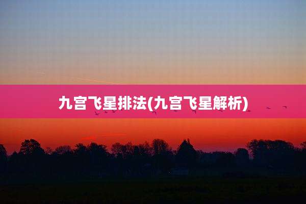 九宫飞星排法(九宫飞星解析)