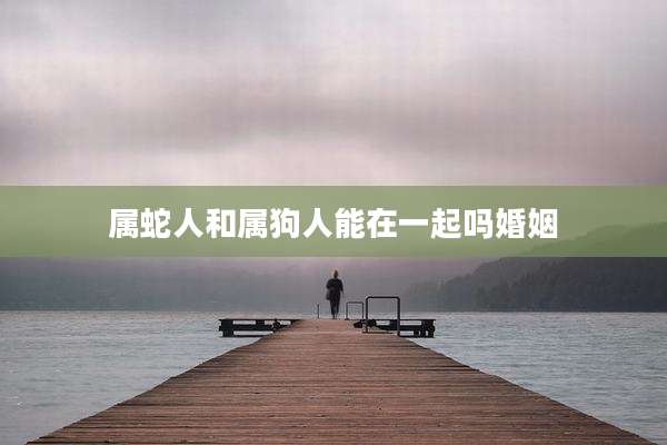 属蛇人和属狗人能在一起吗婚姻