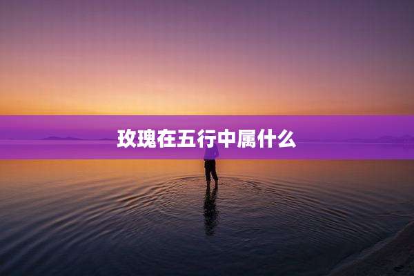 玫瑰在五行中属什么