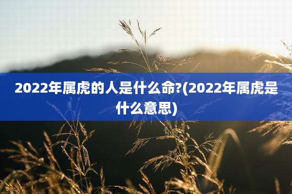2022年属虎的人是什么命?(2022年属虎是什么意思)