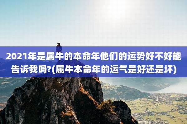 2021年是属牛的本命年他们的运势好不好能告诉我吗?(属牛本命年的运气是好还是坏)