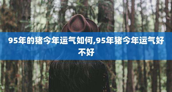 95年的猪今年运气如何,95年猪今年运气好不好