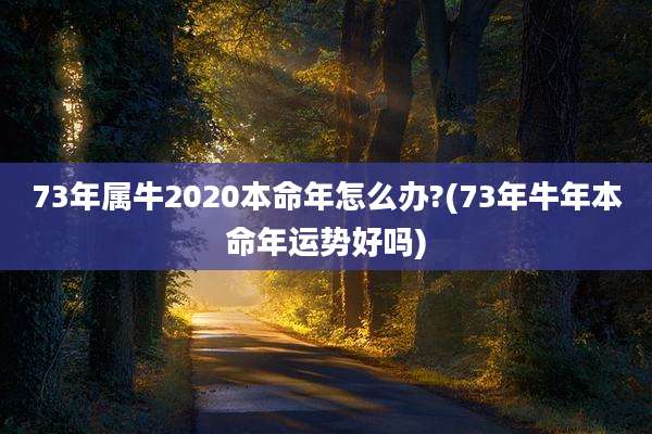 73年属牛2020本命年怎么办?(73年牛年本命年运势好吗)