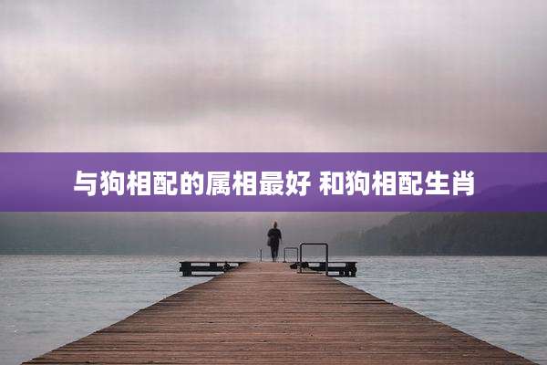 与狗相配的属相最好 和狗相配生肖