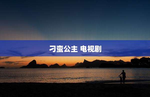 刁蛮公主 电视剧