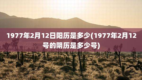 1977年2月12日阳历是多少(1977年2月12号的阴历是多少号)