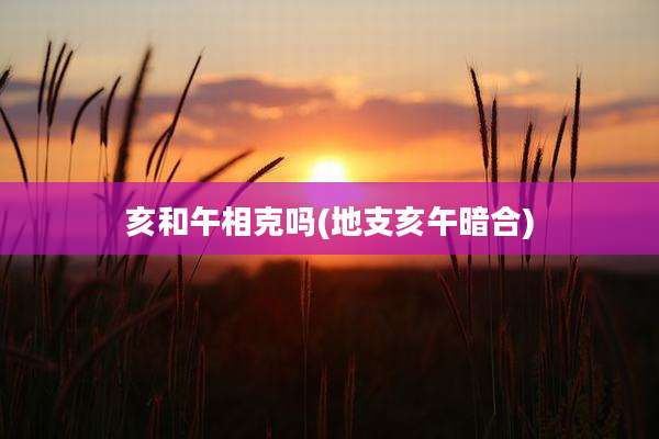 亥和午相克吗(地支亥午暗合)