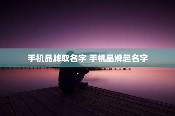 手机品牌取名字 手机品牌起名字