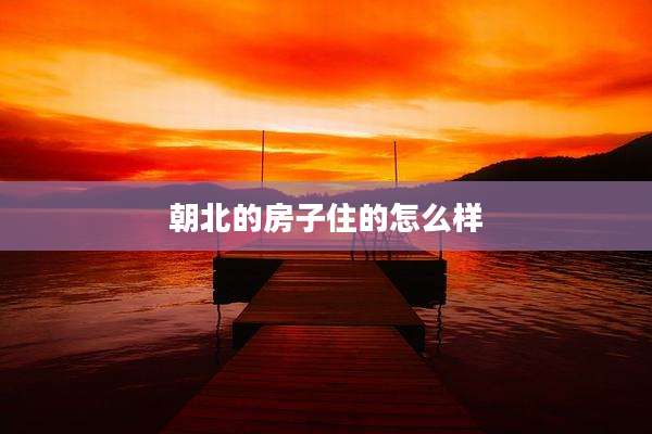 朝北的房子住的怎么样