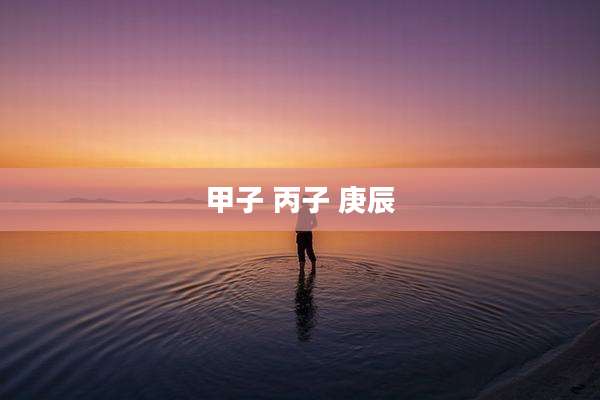 甲子 丙子 庚辰
