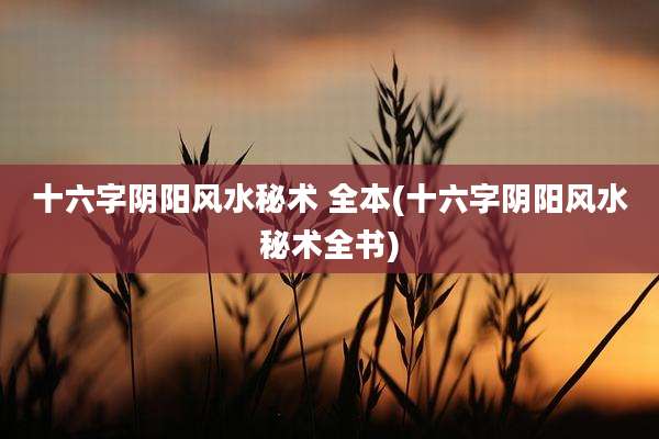 十六字阴阳风水秘术 全本(十六字阴阳风水秘术全书)
