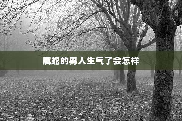 属蛇的男人生气了会怎样
