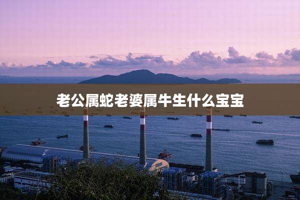 老公属蛇老婆属牛生什么宝宝