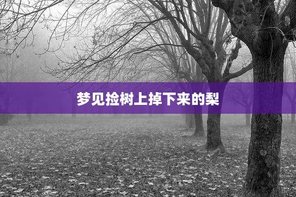 梦见捡树上掉下来的梨