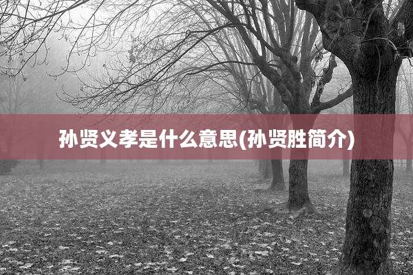孙贤义孝是什么意思(孙贤胜简介)