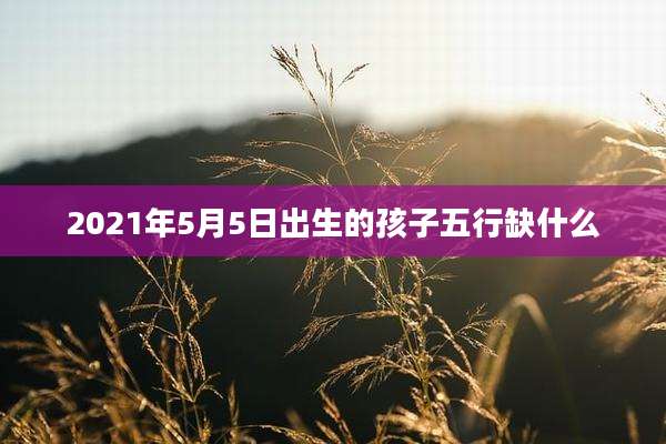 2021年5月5日出生的孩子五行缺什么