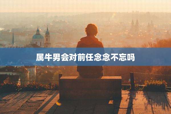 属牛男会对前任念念不忘吗