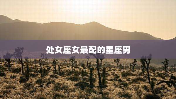 处女座女最配的星座男