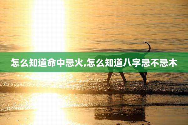 怎么知道命中忌火,怎么知道八字忌不忌木