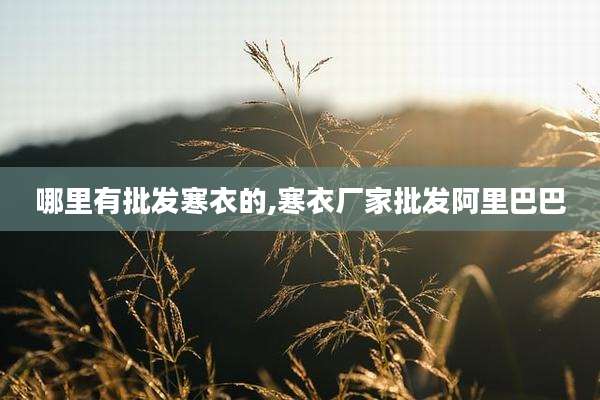 哪里有批发寒衣的,寒衣厂家批发阿里巴巴