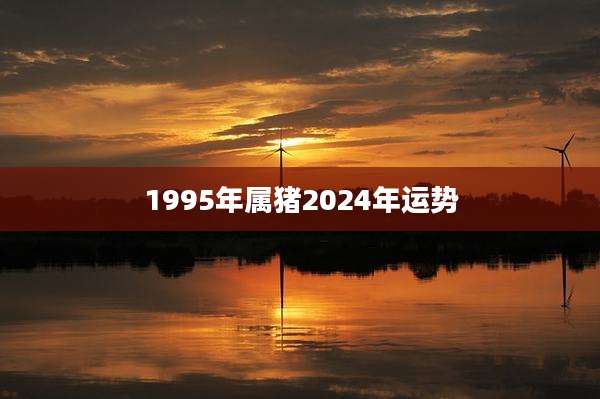 1995年属猪2024年运势
