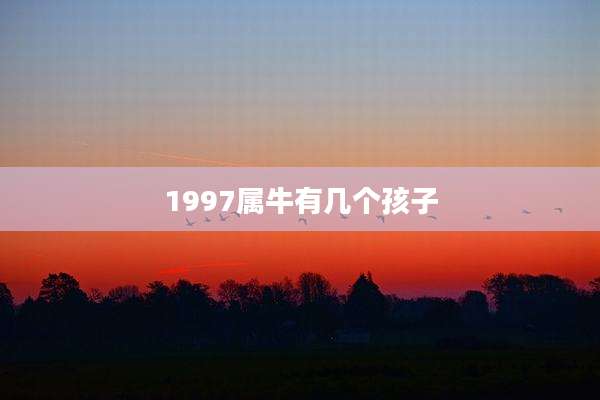 1997属牛有几个孩子