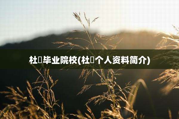 杜玥毕业院校(杜玥个人资料简介)