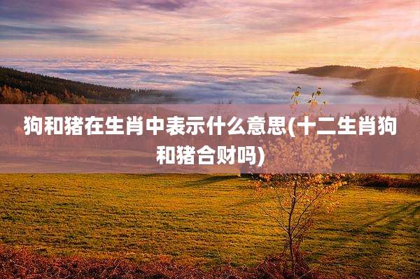 狗和猪在生肖中表示什么意思(十二生肖狗和猪合财吗)