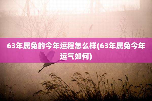 63年属兔的今年运程怎么样(63年属兔今年运气如何)