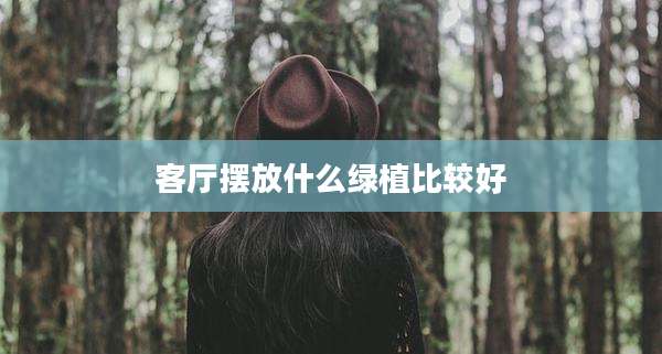 客厅摆放什么绿植比较好