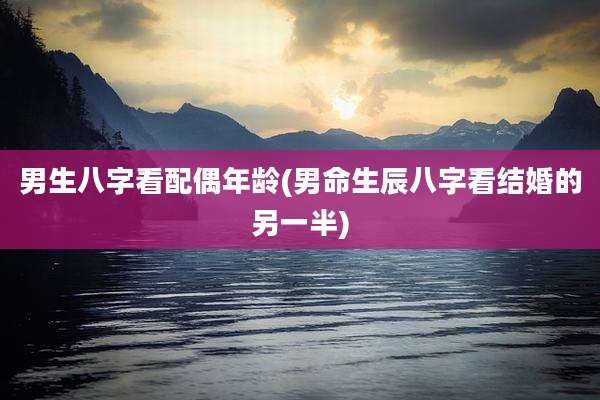 男生八字看配偶年龄(男命生辰八字看结婚的另一半)