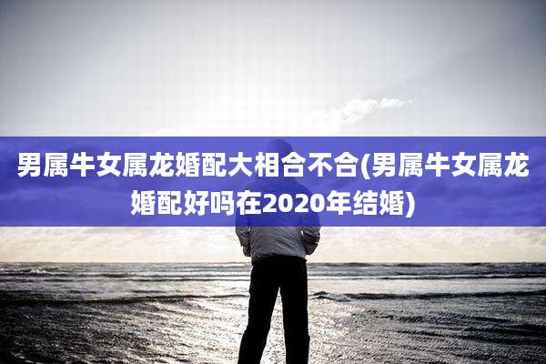 男属牛女属龙婚配大相合不合(男属牛女属龙婚配好吗在2020年结婚)
