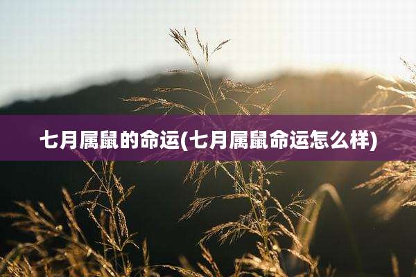 七月属鼠的命运(七月属鼠命运怎么样)