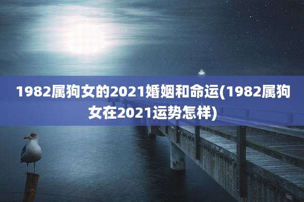 1982属狗女的2021婚姻和命运(1982属狗女在2021运势怎样)