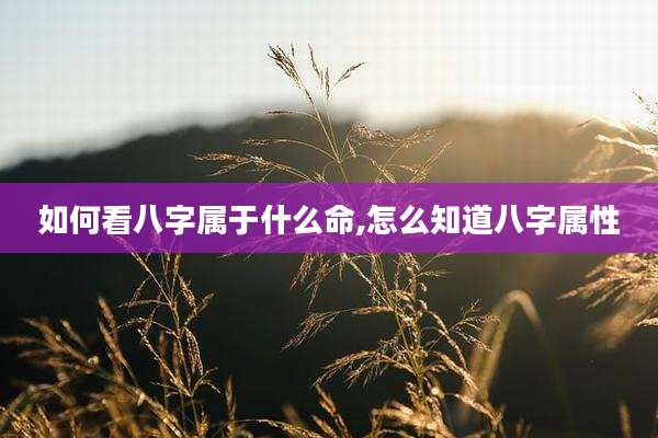 如何看八字属于什么命,怎么知道八字属性
