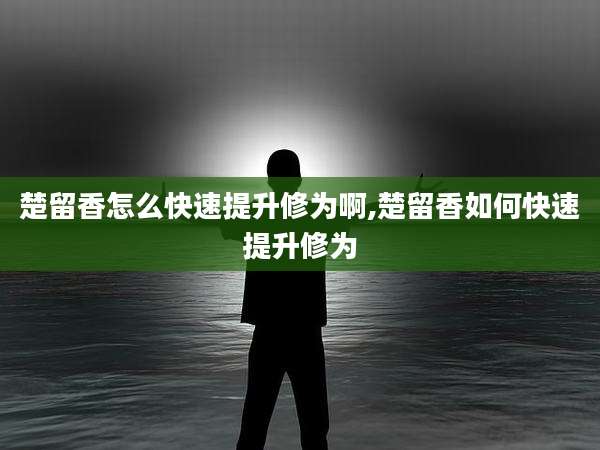 楚留香怎么快速提升修为啊,楚留香如何快速提升修为
