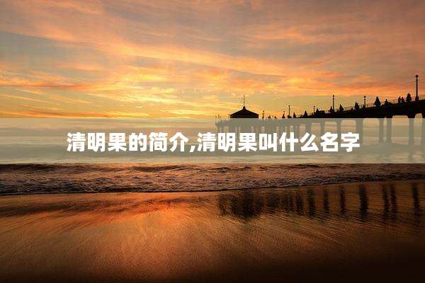 清明果的简介,清明果叫什么名字