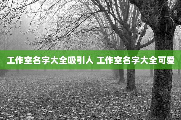 工作室名字大全吸引人 工作室名字大全可爱