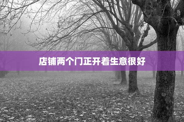 店铺两个门正开着生意很好