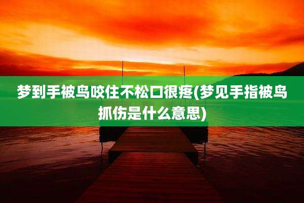梦到手被鸟咬住不松口很疼(梦见手指被鸟抓伤是什么意思)