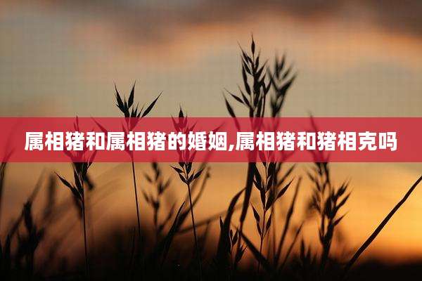 属相猪和属相猪的婚姻,属相猪和猪相克吗