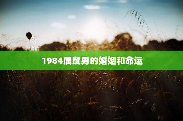 1984属鼠男的婚姻和命运