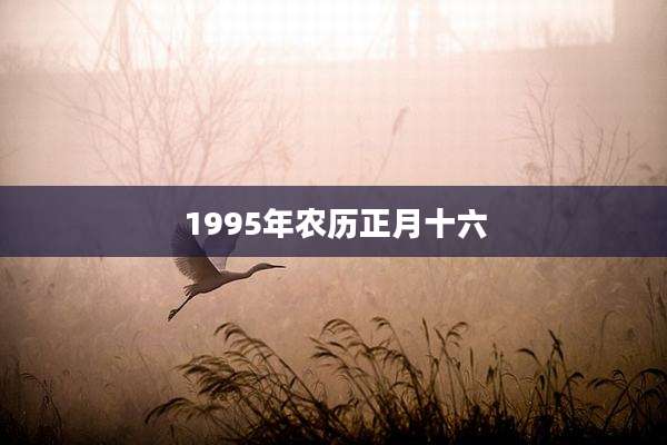 1995年农历正月十六