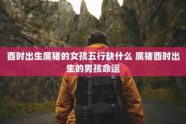 酉时出生属猪的女孩五行缺什么 属猪酉时出生的男孩命运