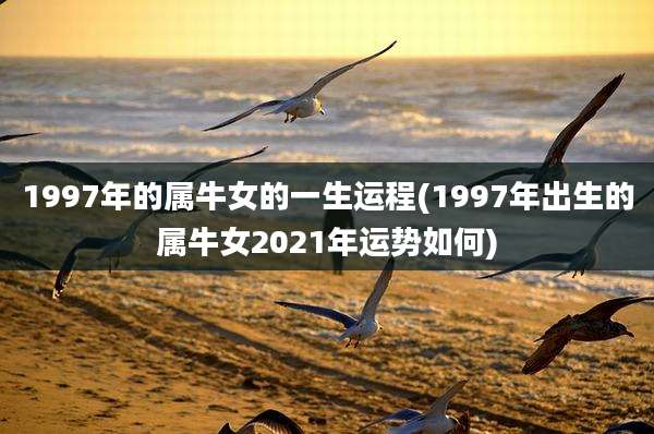 1997年的属牛女的一生运程(1997年出生的属牛女2021年运势如何)