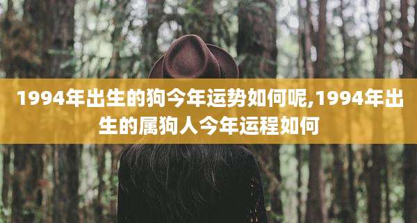 1994年出生的狗今年运势如何呢,1994年出生的属狗人今年运程如何