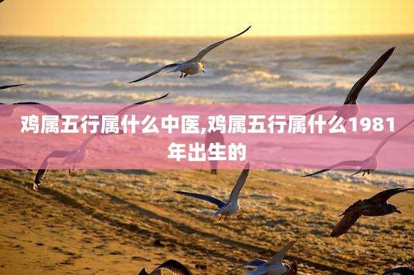 鸡属五行属什么中医,鸡属五行属什么1981年出生的