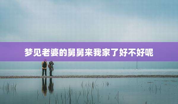 梦见老婆的舅舅来我家了好不好呢
