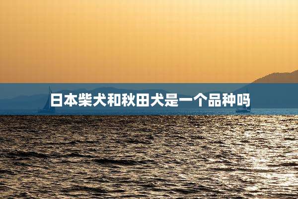 日本柴犬和秋田犬是一个品种吗