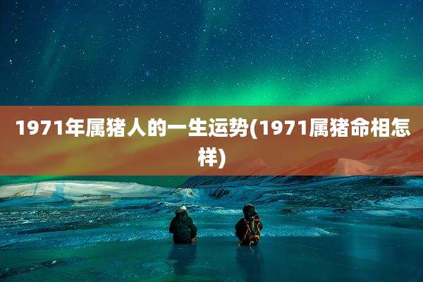 1971年属猪人的一生运势(1971属猪命相怎样)